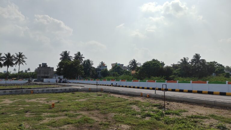 WhatsApp Image 2025-01-25 at 18.02